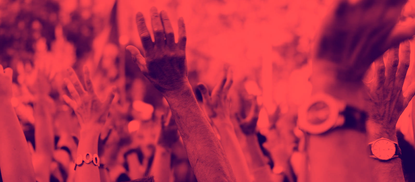 hands raised up at a protest