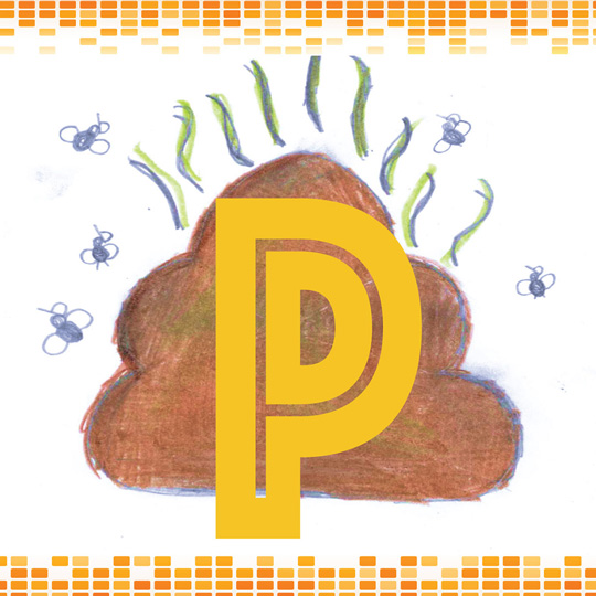the letter p