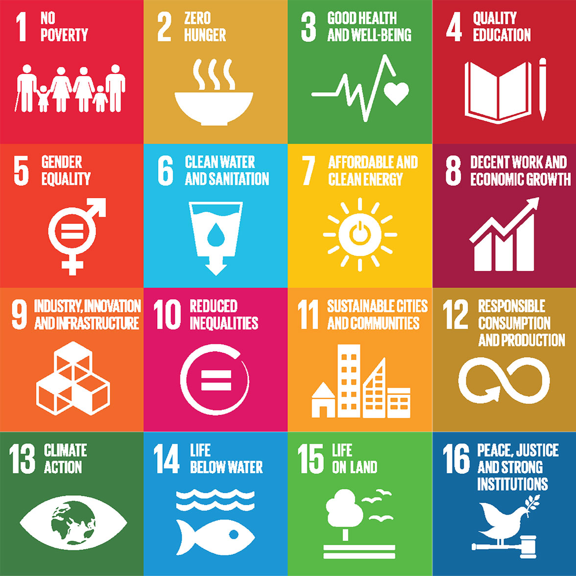 UNDP goals
