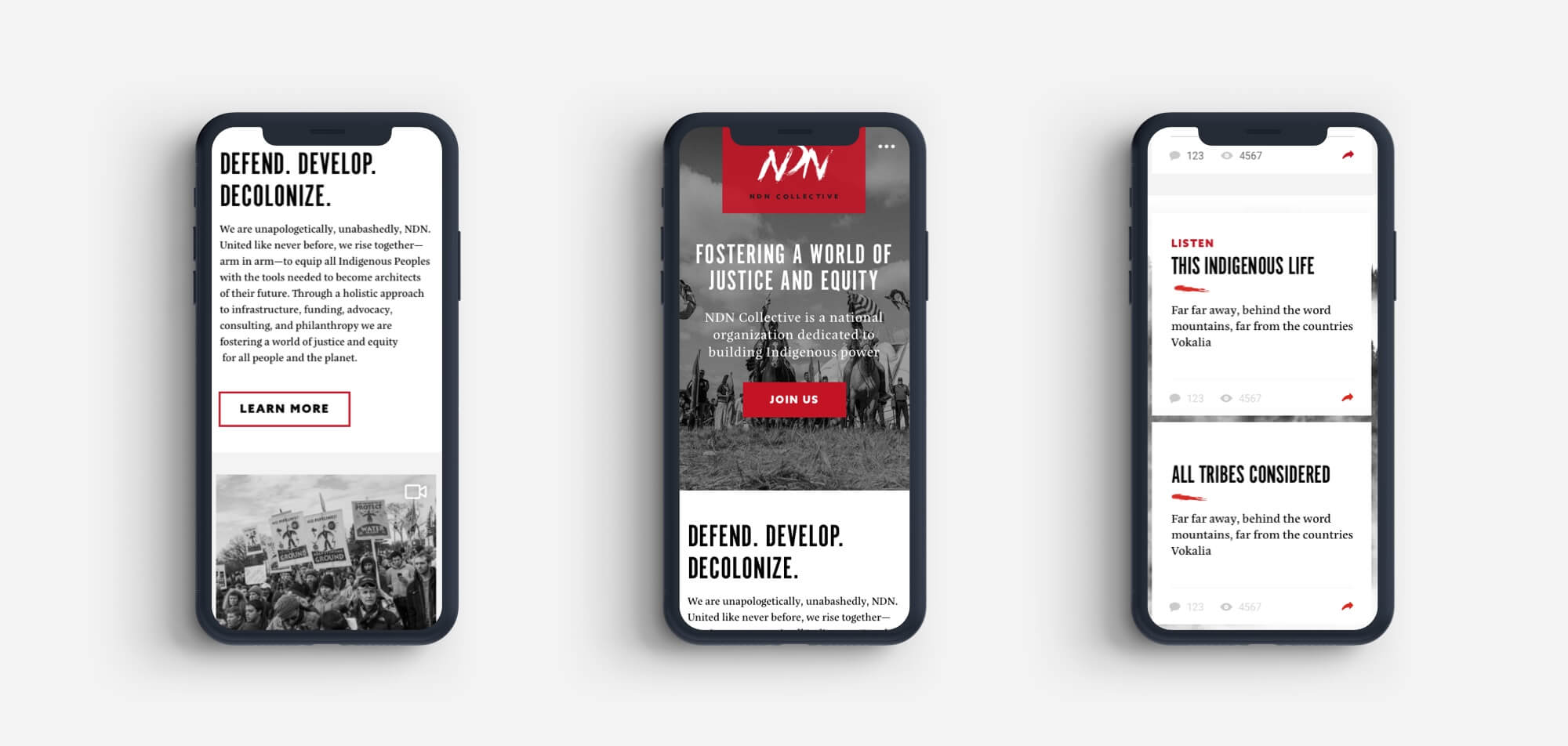 iphone mockups for the ndn website